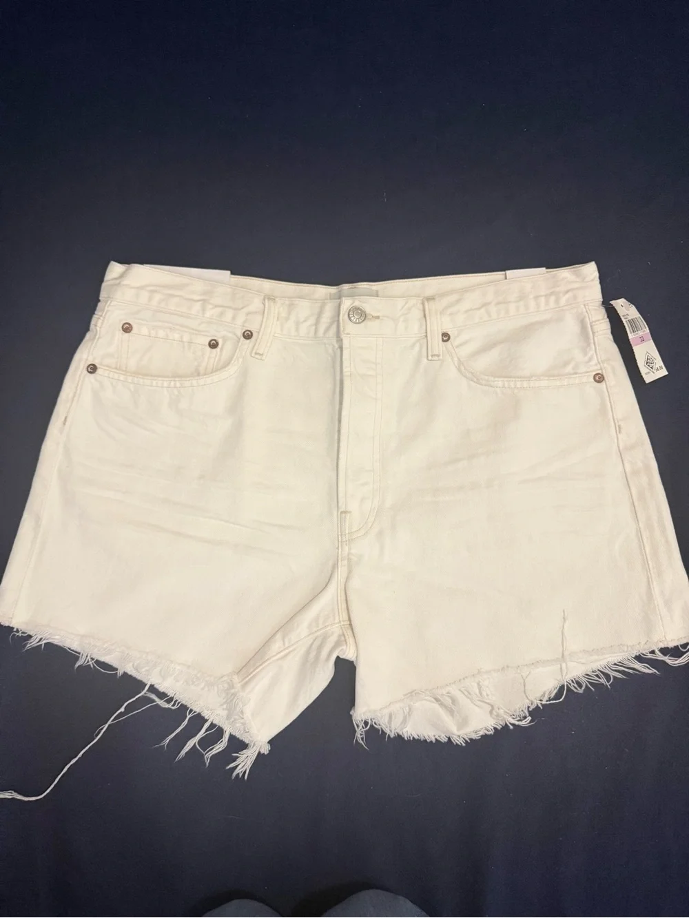 AGOLDE Parker Long Short Loose Fit in Panna Cotta White Size 32 NWT MSRP $158